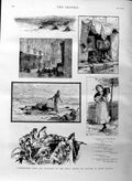 Original Old Antique Print 1886 Royal Society Painters Water Colours Antwerp