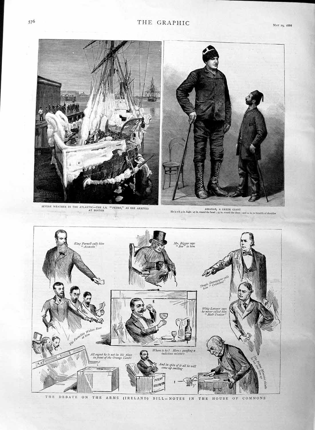 Old Antique Print 1886 Ireland Debate Arms Commons Pedro Ship Ice Amanab 19th