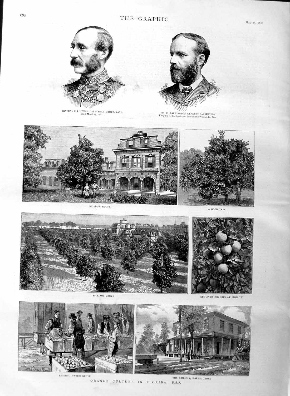 Old Antique Print 1886 Orange Grove Florida Bigelow Railway Henry White 19th