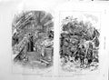 Original Old Antique Print 1886 Indian Exhibition Australian Fruit Stall Forest