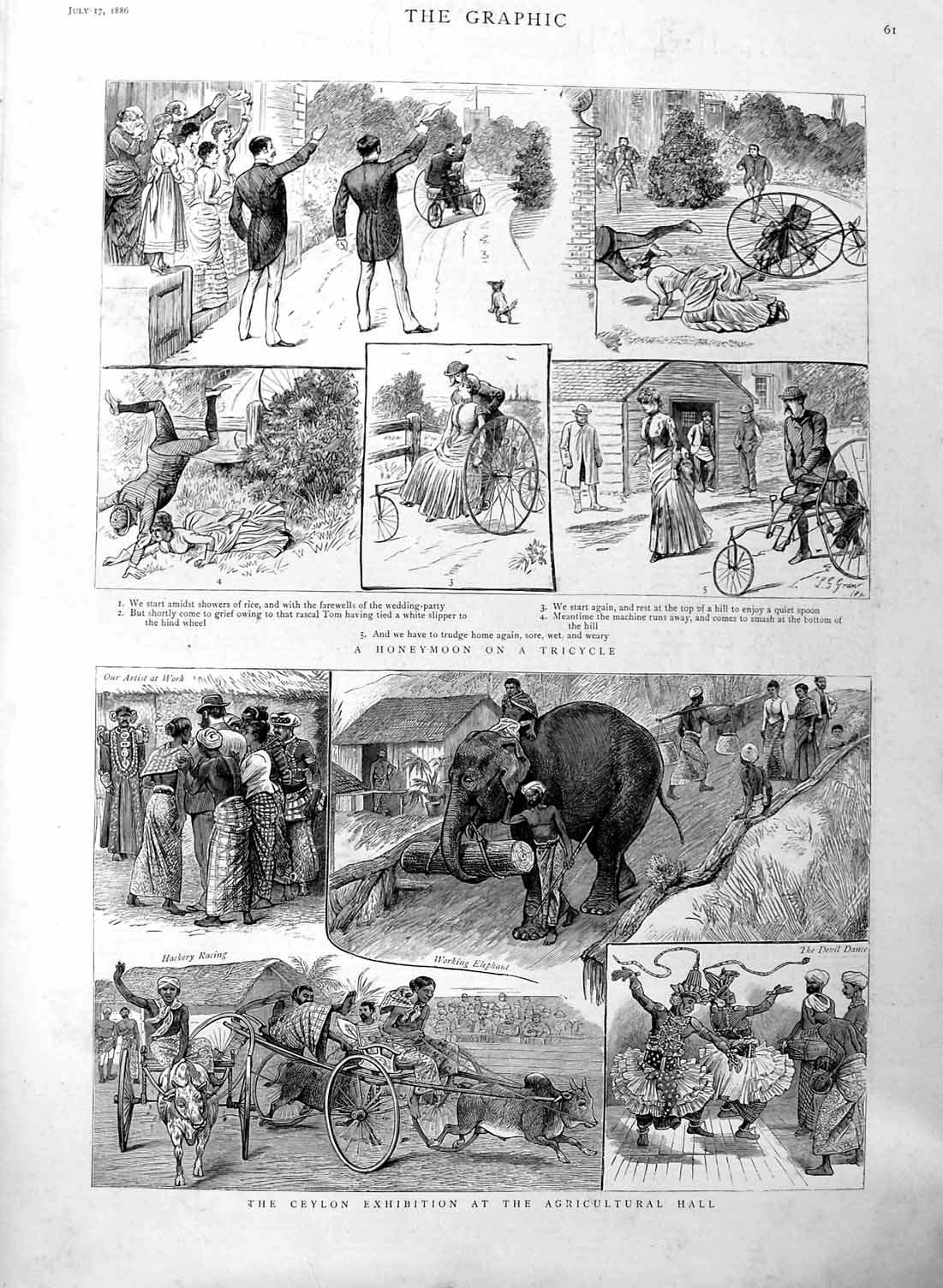 Old Antique Print 1886 Ceylon Exhibition Agricultural Honeymoon Tricycle 19th