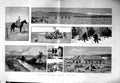 Original Old Antique Print 1886 Ranching Canada Willow Creek Oxley Belly River 0