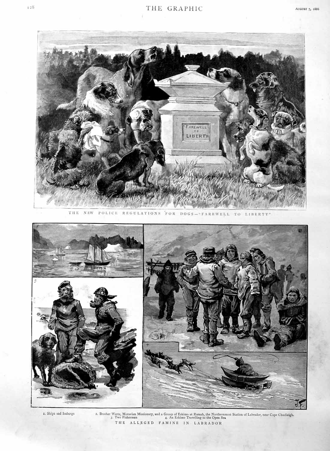 Original Old Antique Print 1886 Famine Labrador Eskimo Police Dog Liberty M 19th