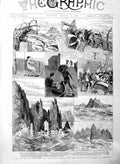 Original Old Antique Print 1886 Expedition Deep Sea Fauna Ireland Dolphins 19th