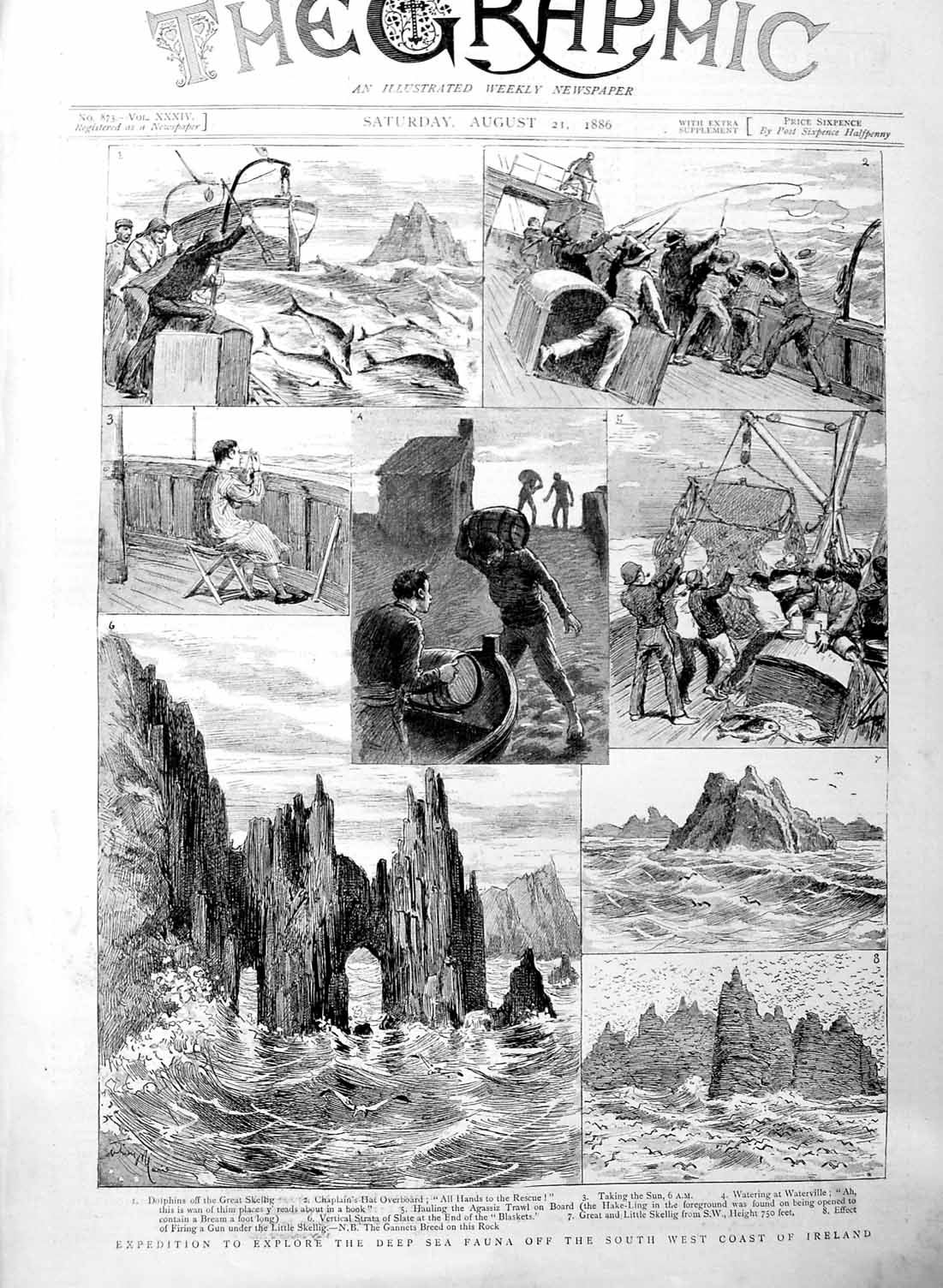 Original Old Antique Print 1886 Expedition Deep Sea Fauna Ireland Dolphins 19th