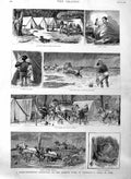 Old Antique Print 1886 Rabbit Hunting Lachlan River Australia Flood Camp 19th