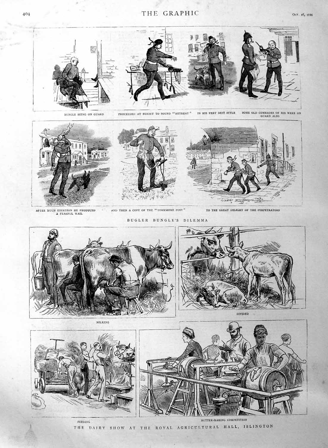 Original Old Antique Print 1886 Dairy Show Agricultural Show Islington Bugler