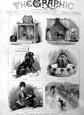 Original Old Antique Print 1886 Toy Dog Show Royal Aquarium Westminster 19th