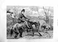 Original Old Antique Print 1886 Lady Hunting Horse Hounds River 19th