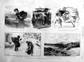 Old Antique Print 1886 Oil Colours Paintings Countryside Horse Dog Girl 19th