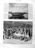 Original Old Antique Print 1886 Judging Sheep Cattle Show Madras Mirage Boat