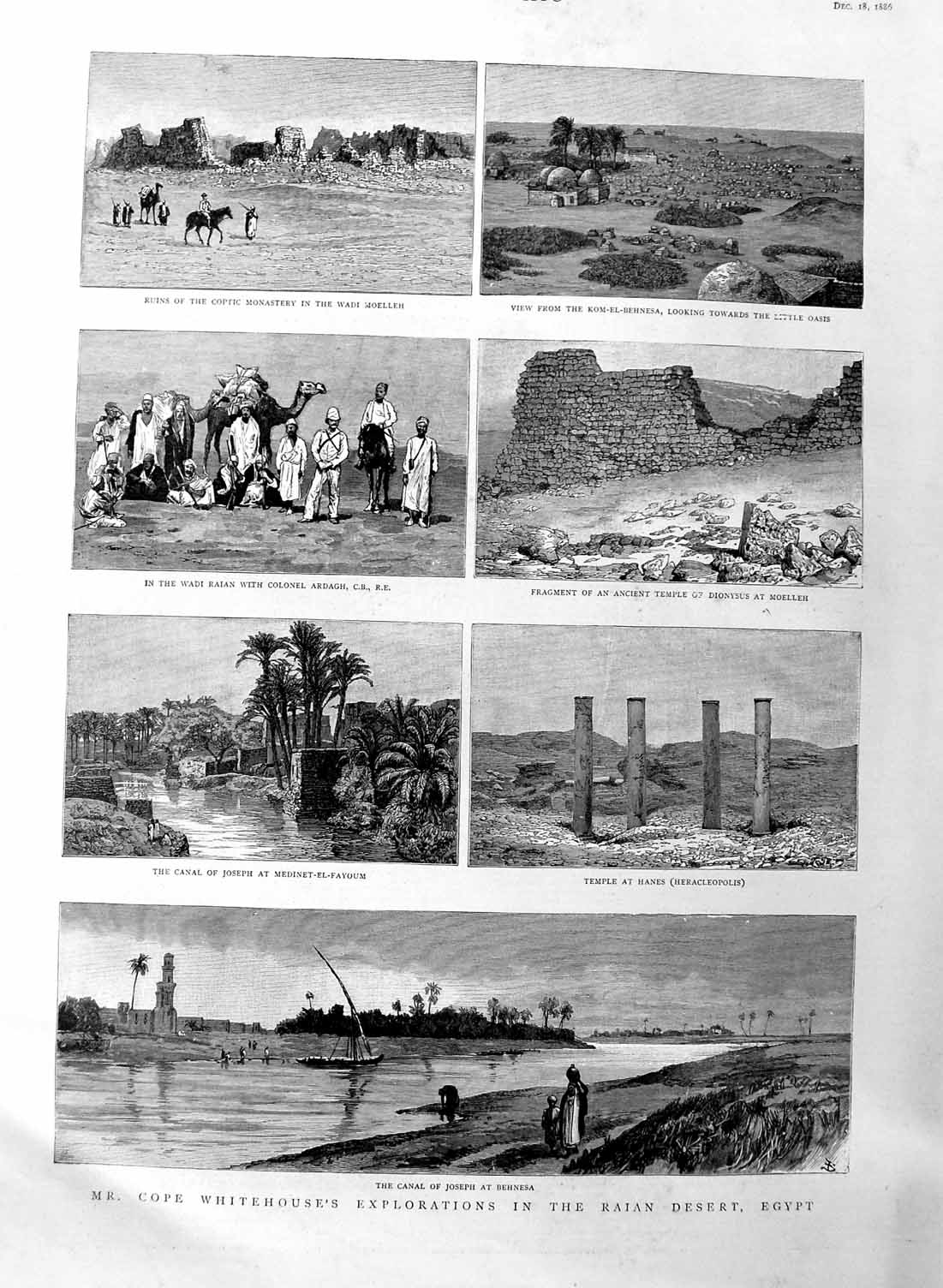 Original Old Antique Print 1886 Cope Whitehouse Raian Desert Egypt Canal 19th