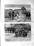 Original Old Antique Print 1887 Transvaal GFields Burma Mule Battery Artillery