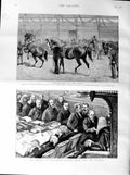 Old Antique Print 1887 Horses Show Newcastle-On-Tyne Parliament Speaker 19th