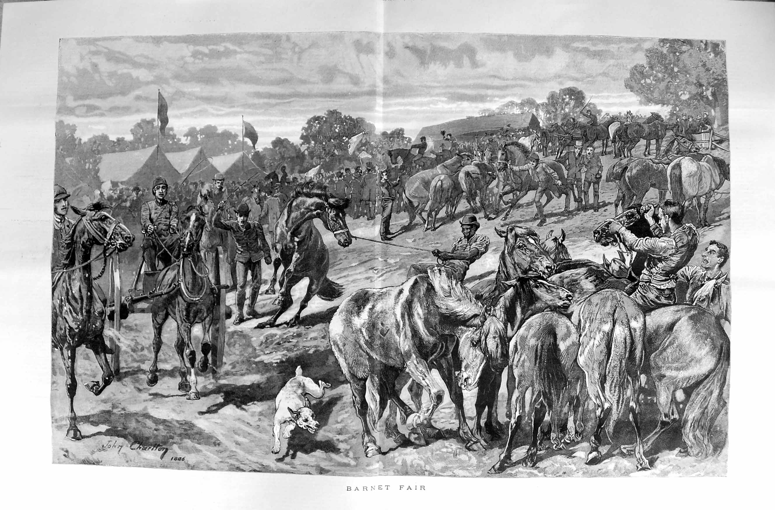 Original Old Antique Print 1887 Barnet Fair Animals Horses Wild Dog Fine Art