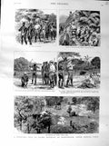 Original Old Antique Print 1887 Shooting Dalma Maunbhoom Bengal India Machans