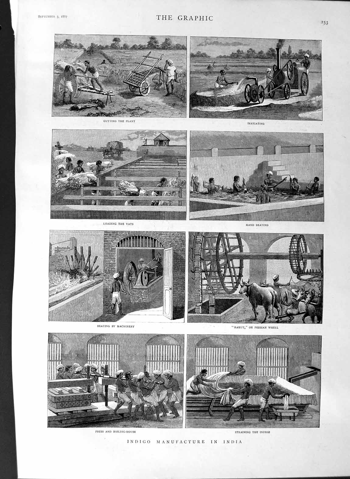 Old Antique Print 1887 Plant Indigo Manufacture India Rahut Persian Wheel 19th