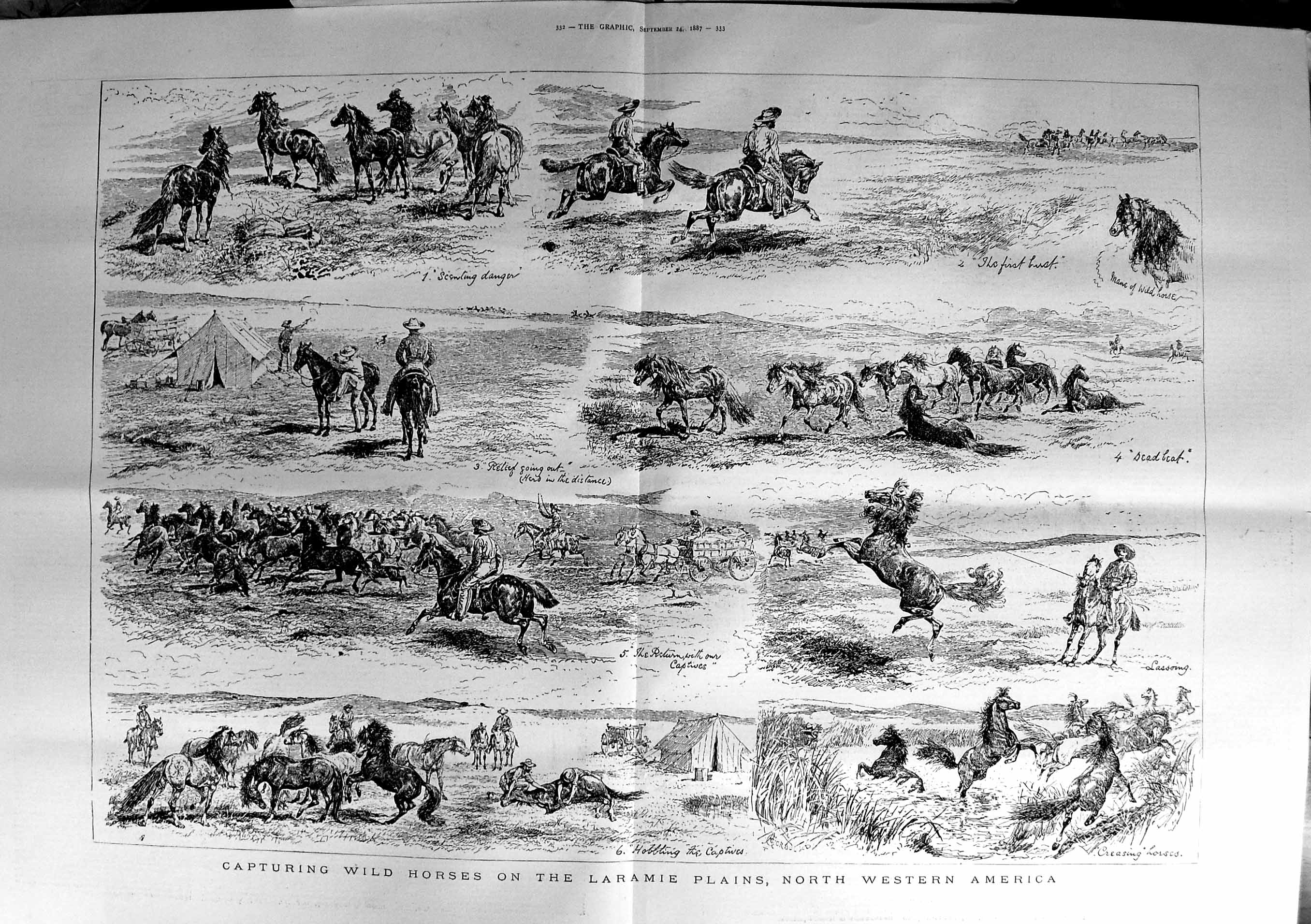 Original Old Antique Print 1887 Capturing Wild Horses Laramie Plains America
