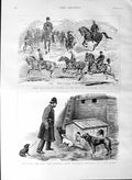 Original Old Antique Print 1887 Horse Riders Bois Boulogne Paris Battersea Dogs