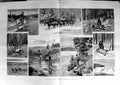 Old Antique Print 1887 Hunting Canada Fishing Cowboy Wild Geese Horses 19th