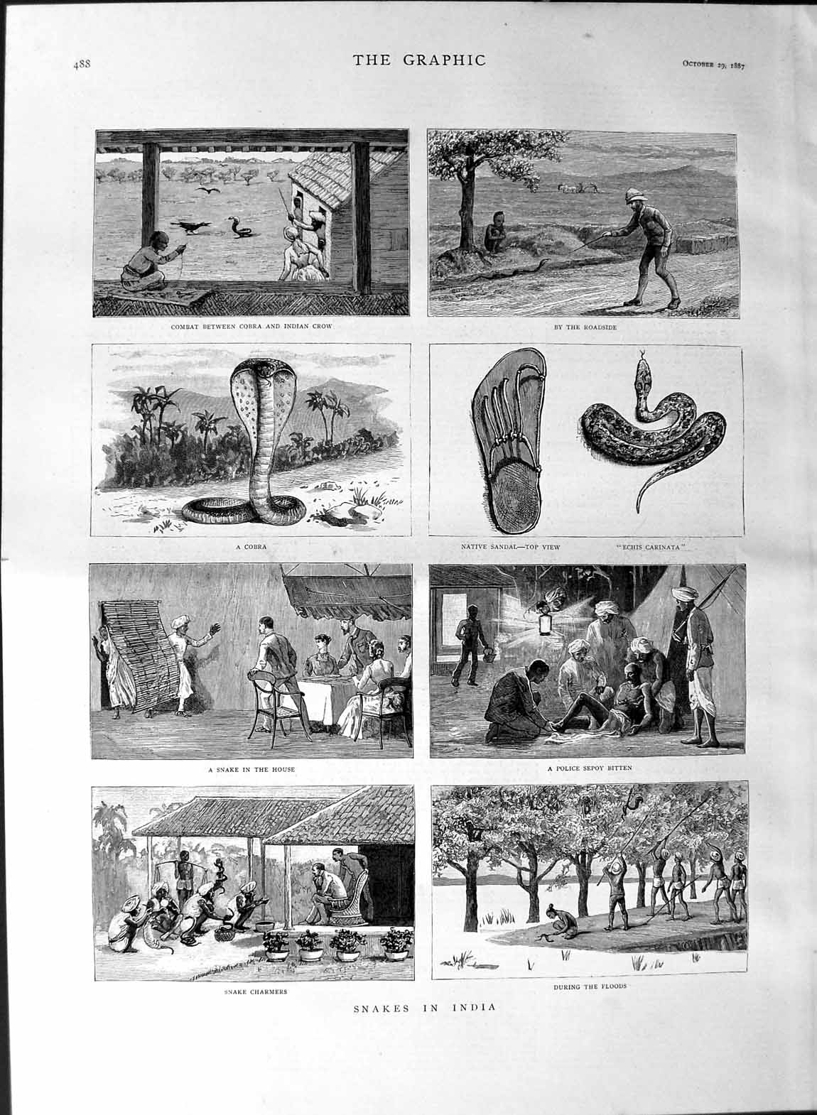 Original Old Antique Print 1887 Snakes India Cobra Indian Crow Police Sepoy
