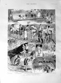 Old Antique Print 1887 Salvation Army Ceylon Rice Fields Akbar Talampitya 19th
