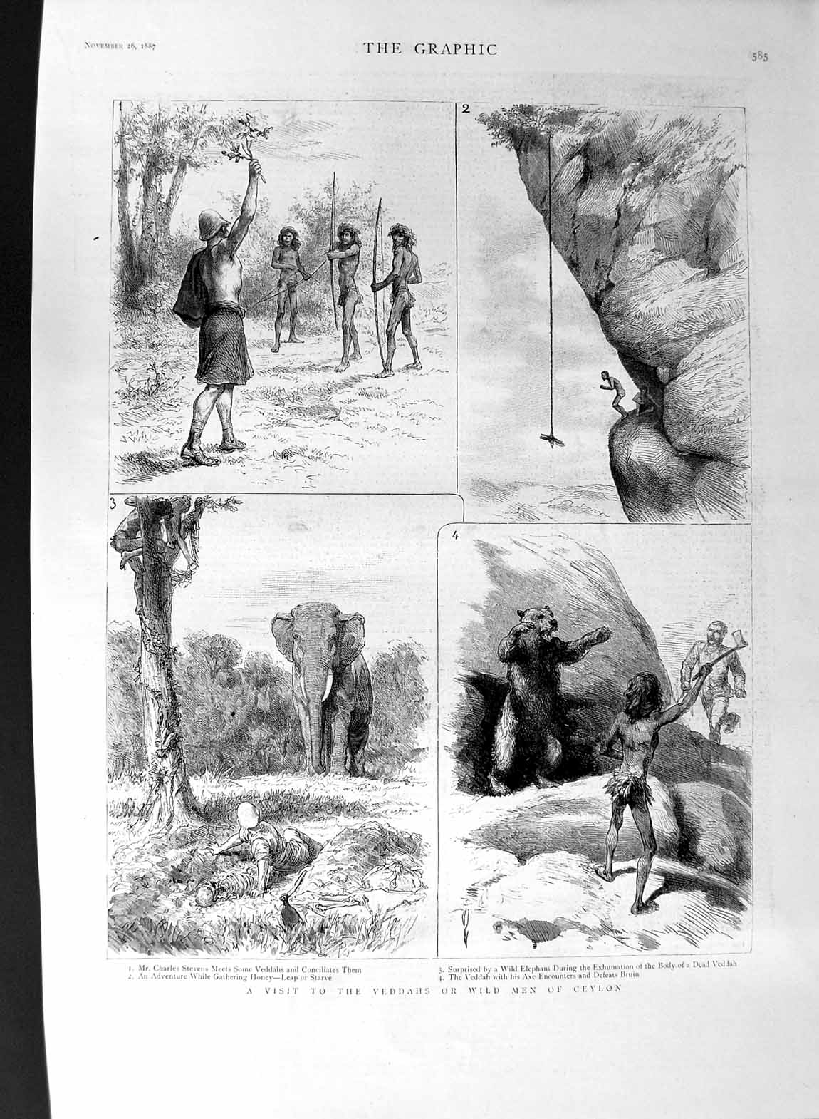 Old Antique Print 1887 Veddahs Wild Men Ceylon Charles Stevens Elephant 19th