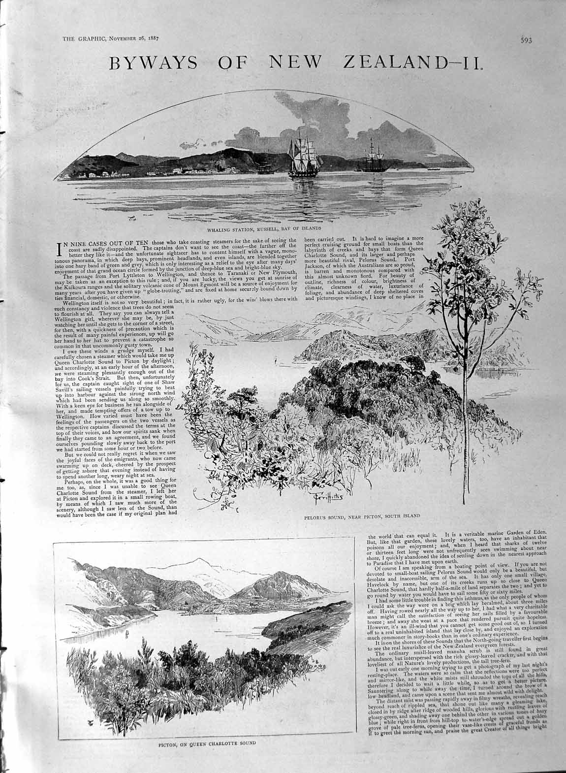 Old Antique Print 1887 New Zealand Picton Pelorus Whaling Table Mountain 19th