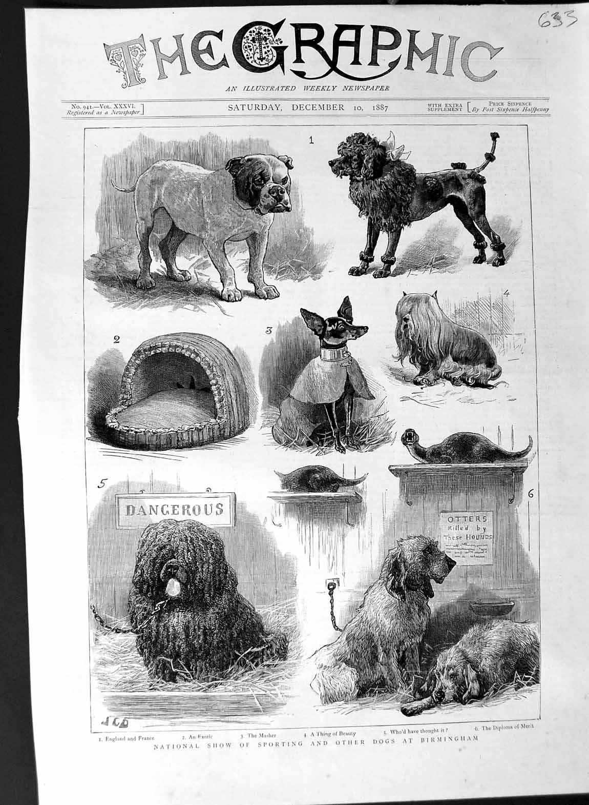 Original Old Antique Print 1887 National Show Sporting Dogs Birmingham Hounds