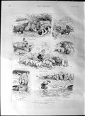 Old Antique Print 1887 Farmyard Life Pigs Larks River Kitten Farm Animals 19th