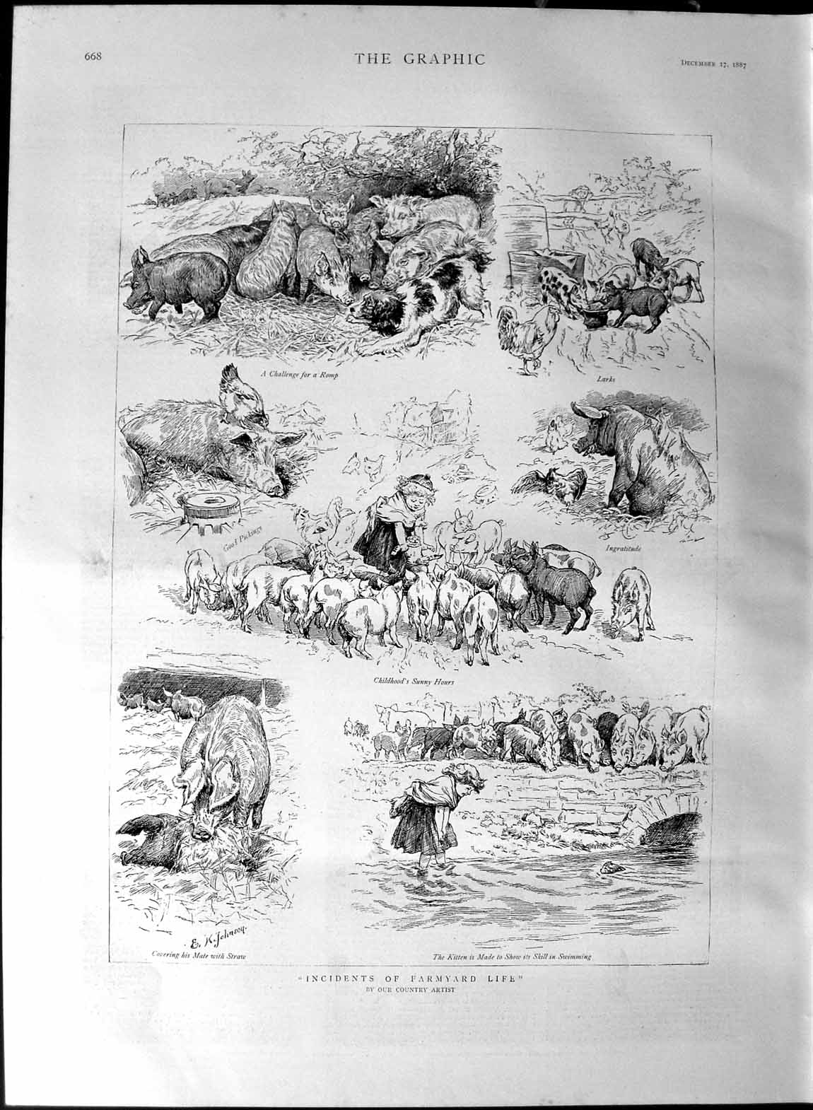 Old Antique Print 1887 Farmyard Life Pigs Larks River Kitten Farm Animals 19th