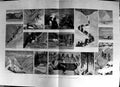 Old Antique Print 1888 Hunting Surveying Cashmere Ibex Tragbal Mountains 19th