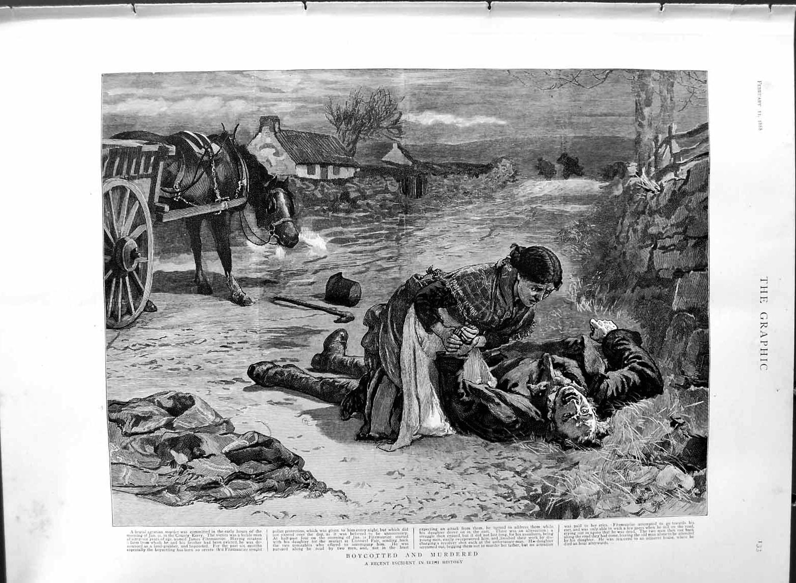 Original Old Antique Print 1888 Ireland Family Boycotted Murdered Man Fine Art