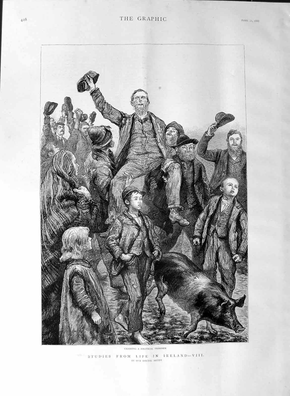 Old Antique Print 1888 Life Ireland Scene Chairing Political Prisoner Pig 19th