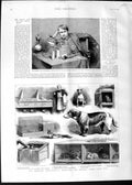 Old Antique Print 1888 Edison Laboratory Phonogram Animal Hospital Dogs 19th