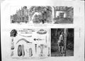 Old Antique Print 1888 London Courts Justice Native Cocoa Ceylon Jameson 19th