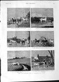 Original Old Antique Print 1888 Plough-Tail Bob Horses Hunting Countryside 19th