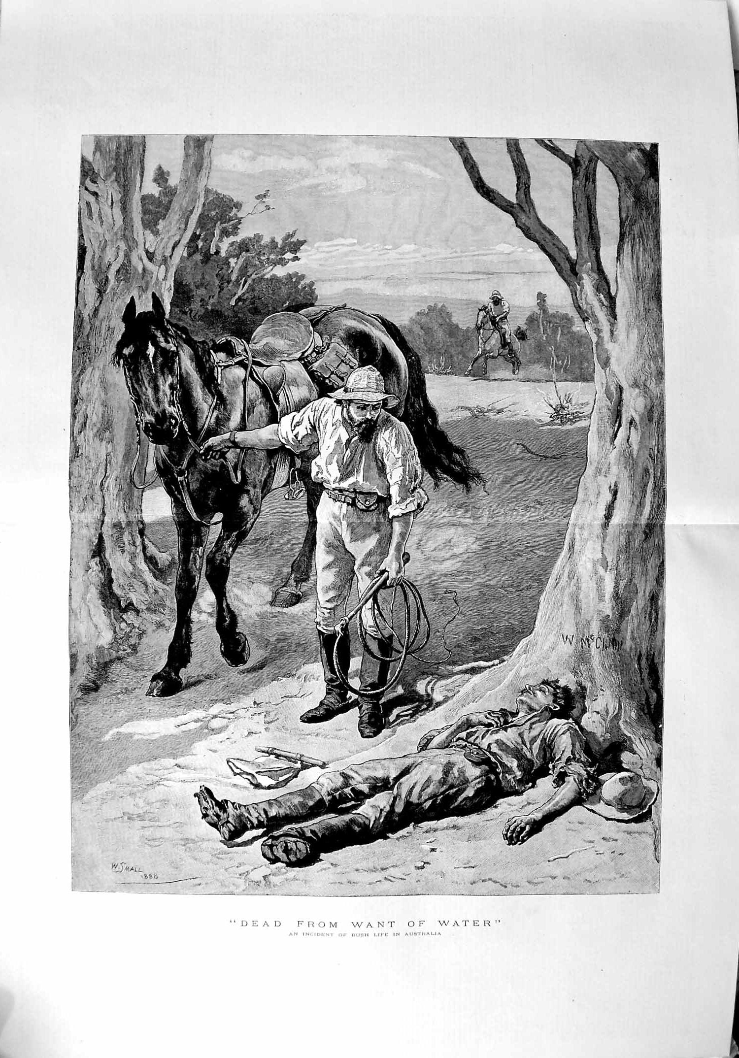Original Old Antique Print 1889 Dead Man Bush Drought Australia Horse Fine Art 0