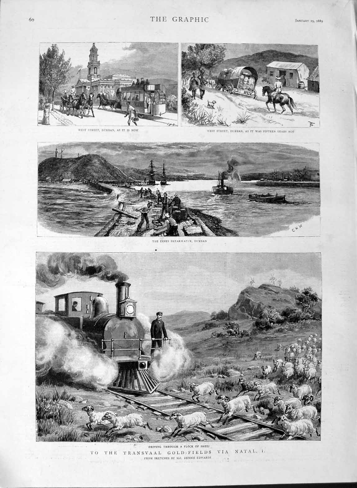 Original Old Antique Print 1889 Transvaal GFields Natal Mining Sheep Train 19th