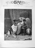 Original Old Antique Print 1889 Arthur Batt Fine Art Injured Puppy Dog Animals