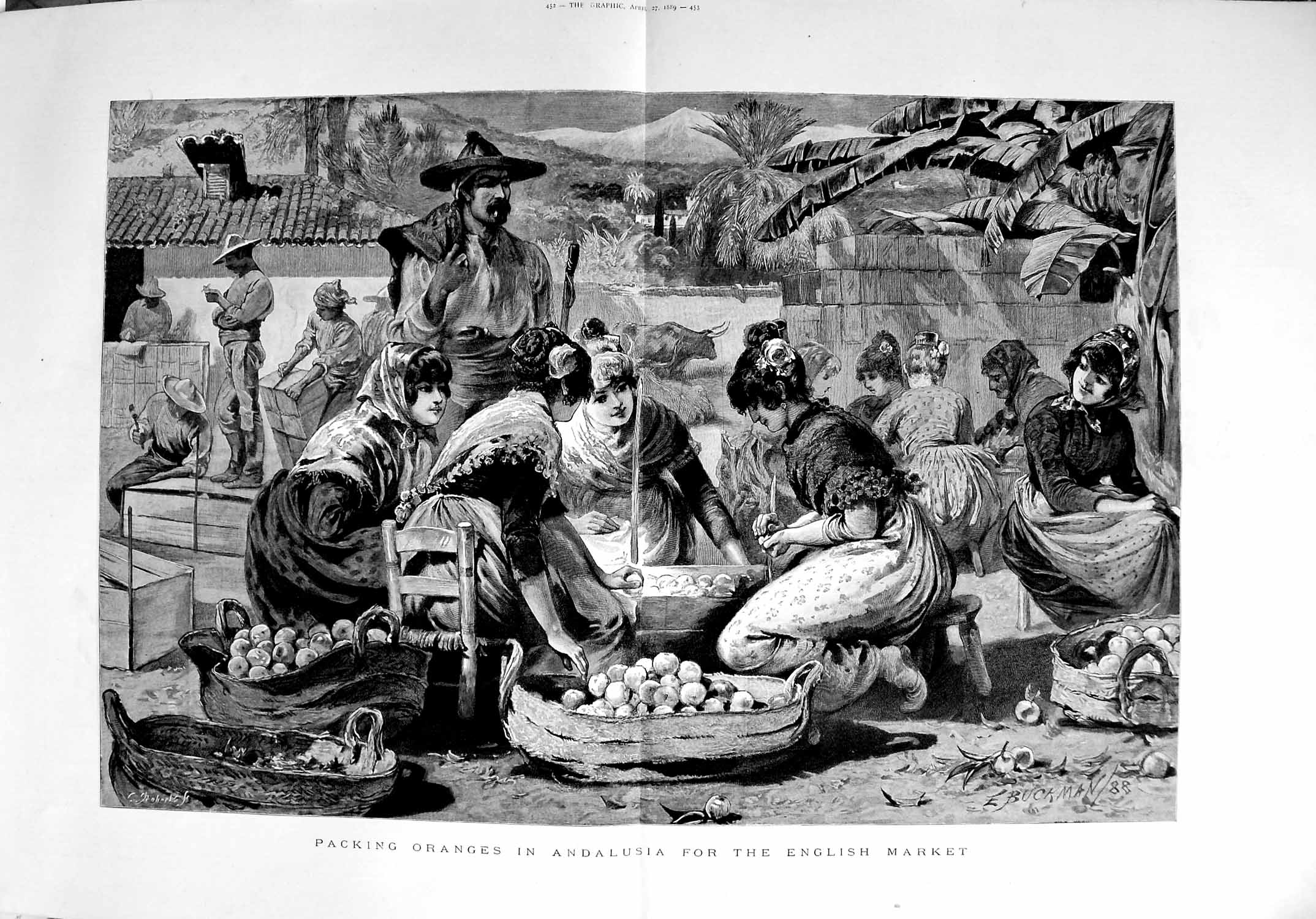 Original Old Antique Print 1889 Packing Oranges Andalusia English Market Spain