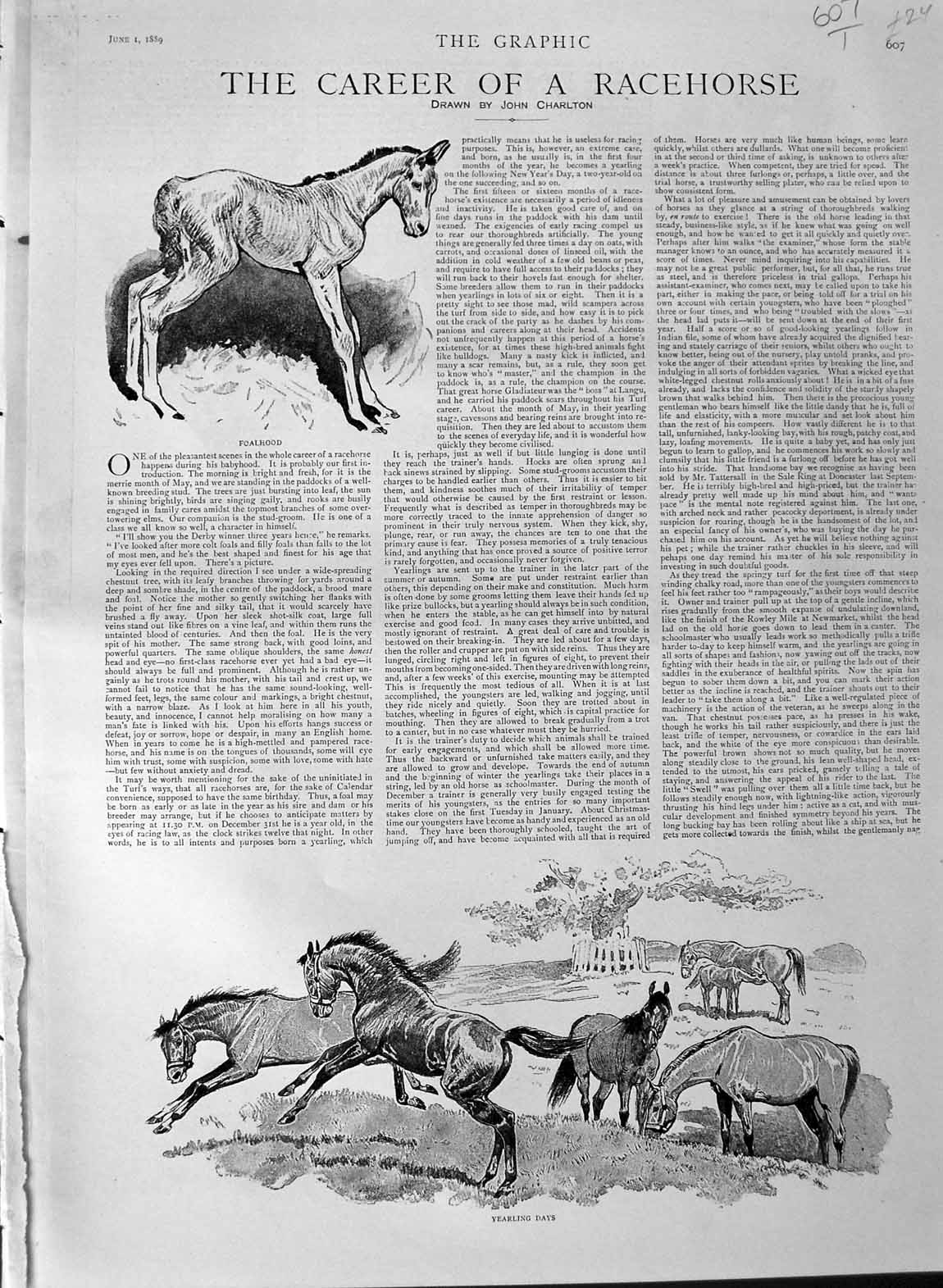 Old Antique Print 1889 Race Horse Sport Jockey Lily Agnes Bend Or Ormonde 19th