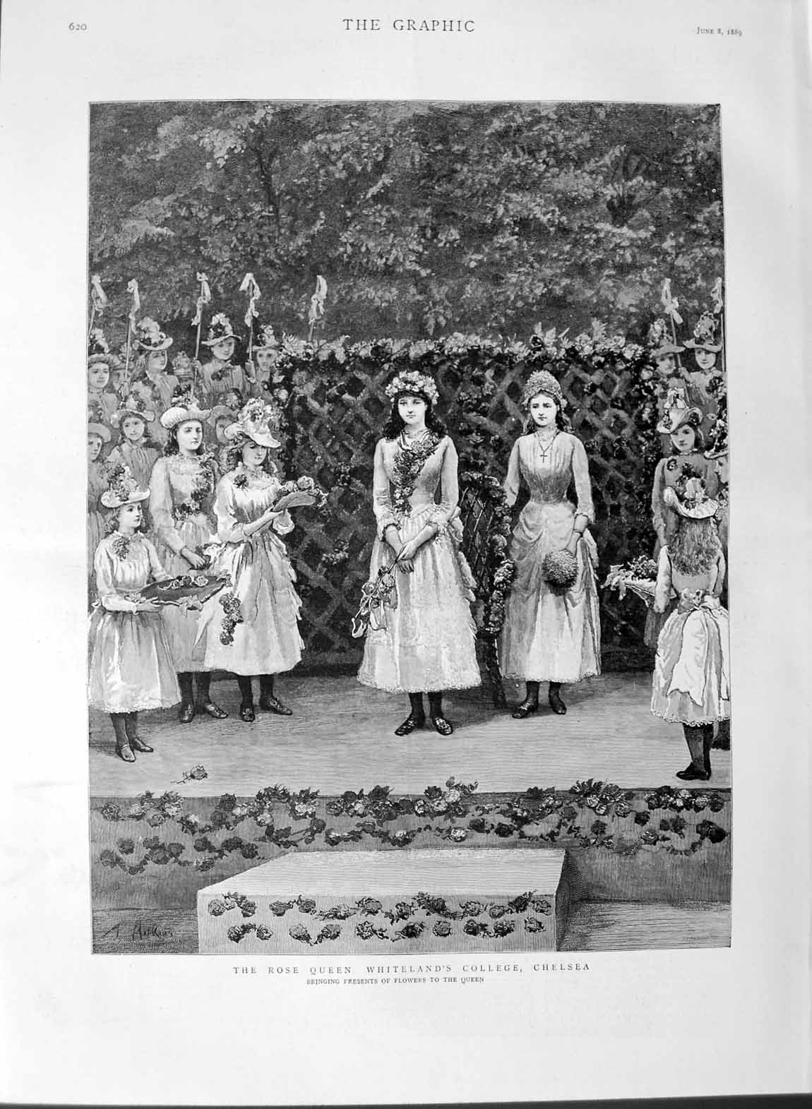 Antique Old Print *3107 1889 Rose Queen Whiteland'S College Chelsea Flowers