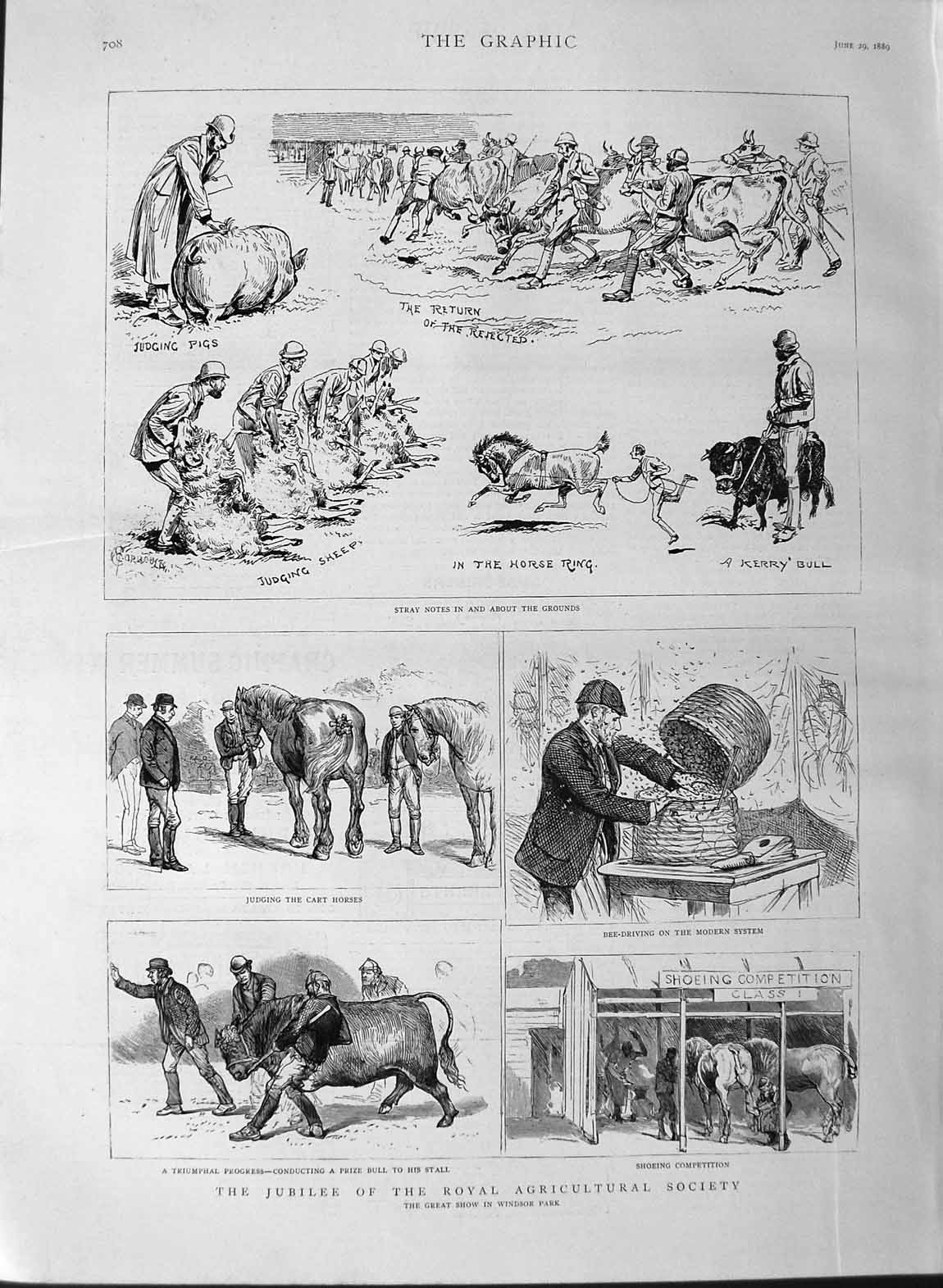 Original Old Antique Print 1889 Jubilee Royal Agricultural Society Windsor Park