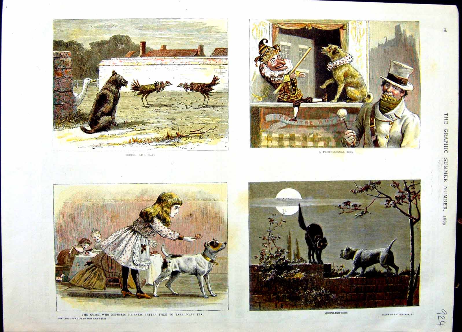 Original Old Antique Print 1889 Colour Dog Chickens Punch Puppet Dog Cat 19th