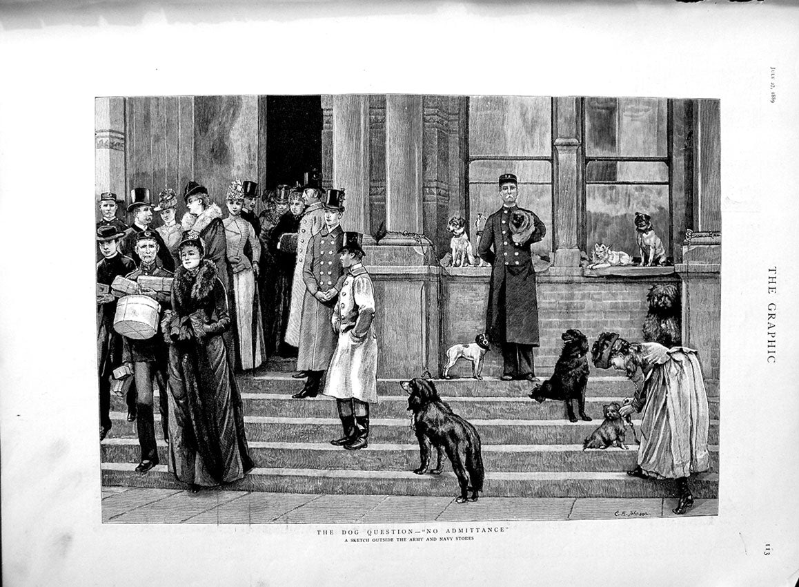Original Old Antique Print 1889 Army Navy Stores Steps Dogs People Victorian