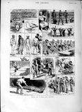Original Old Antique Print 1889 Sea Voyage Shark Fishing Albatross Men Ship