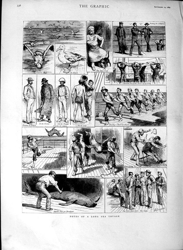 Original Old Antique Print 1889 Sea Voyage Shark Fishing Albatross Men Ship