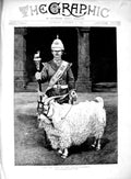Original Old Antique Print 1889 Pet Goat Welsh Regiment Siers Cairo Egypt 19th
