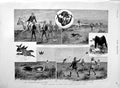 Original Old Antique Print 1889 Hawking Dera Ghazi Khan Punjaub India Hunting